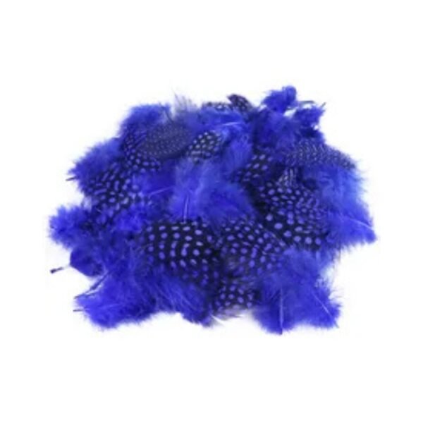 Pluma de Guinea - Imagen 8