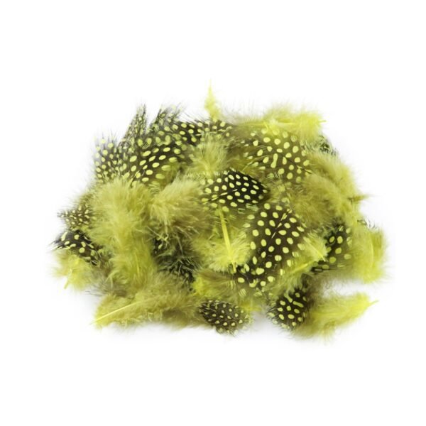 Pluma de Guinea - Imagen 2