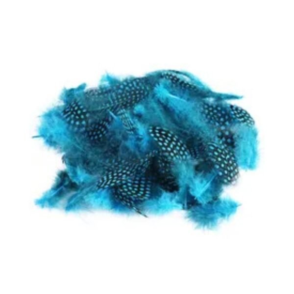 Pluma de Guinea - Imagen 3