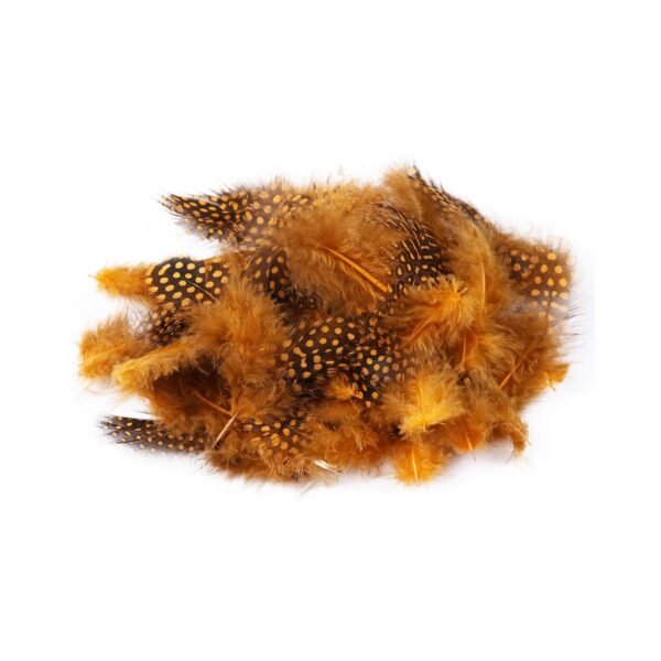 Pluma de Guinea - Imagen 4
