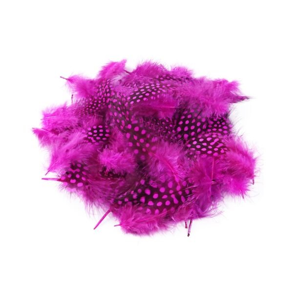 Pluma de Guinea - Imagen 6