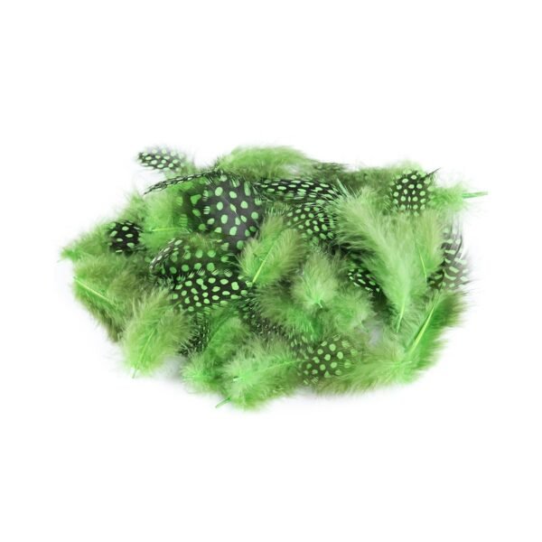 Pluma de Guinea - Imagen 9